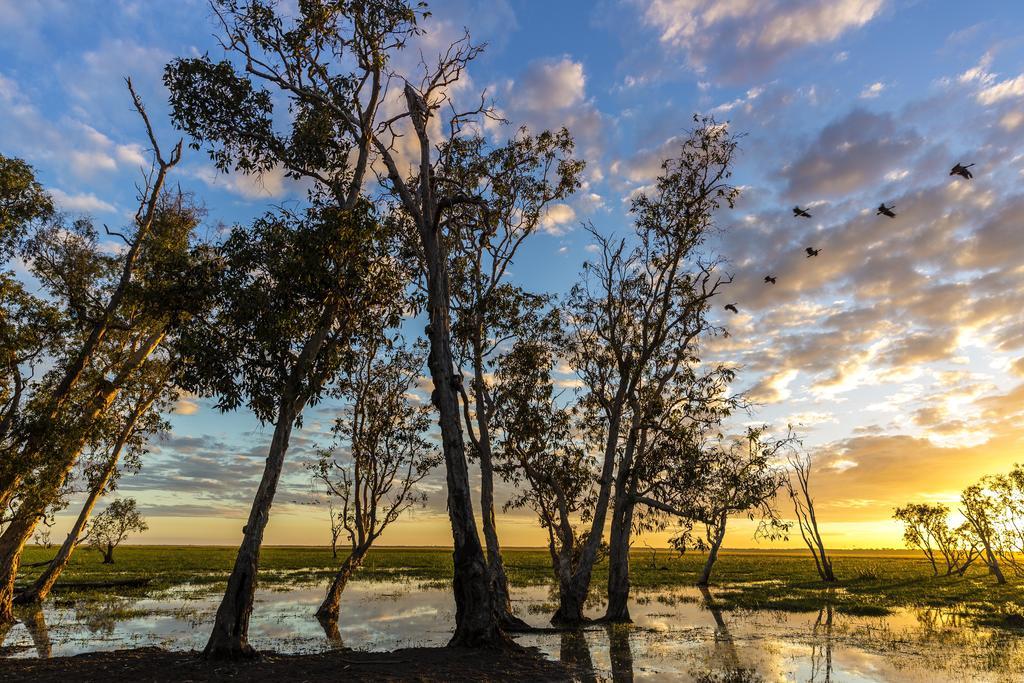 Bamurru Plains Point Stuart Экстерьер фото